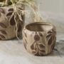 product-275703-1789661438-ACC01-0003376^2